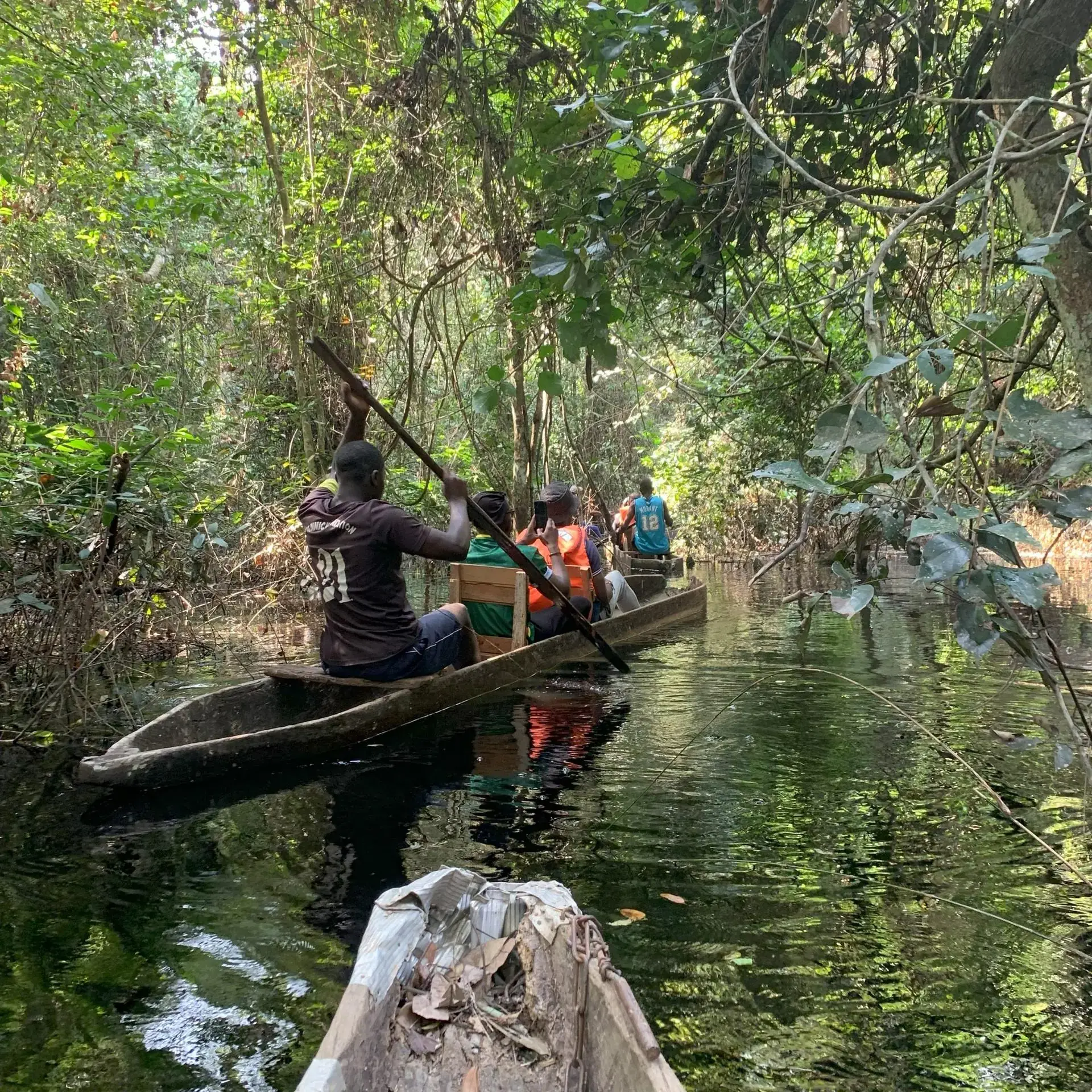 Ebogo: Cameroon's Hidden Ecotourism Gem on the Nyong River