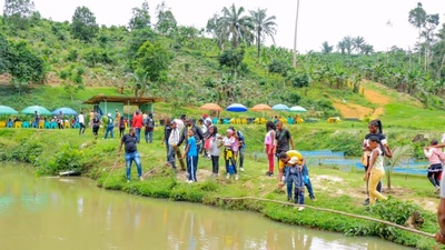 Circuits Agro & Fermes