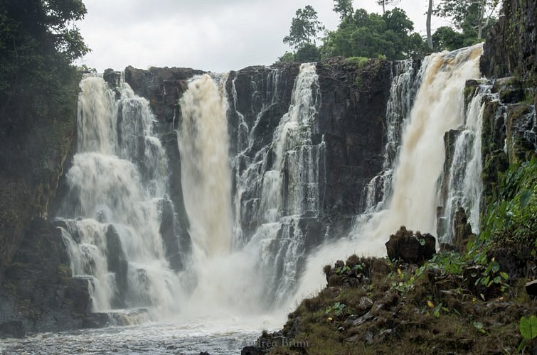 Ivindo National Park - North-East Gabon, Gabon