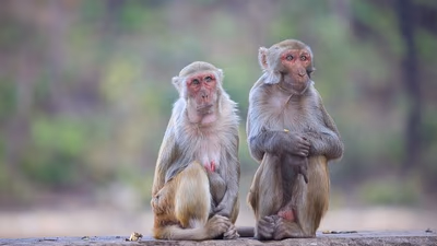 Namibe, Cunene and Lubango Safari 6 Days