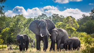 Eco-Tourism, Wildlife And Cultural Discovery Tour